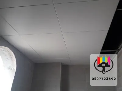 اسقف مستعارة وشرائح المنيوم